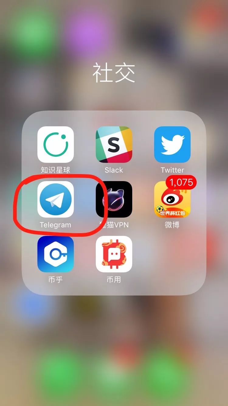 纸飞机下载的app在哪_纸飞机怎么下载中文版本的