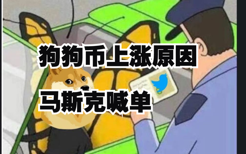 包含狗狗币为什么暴涨的词条