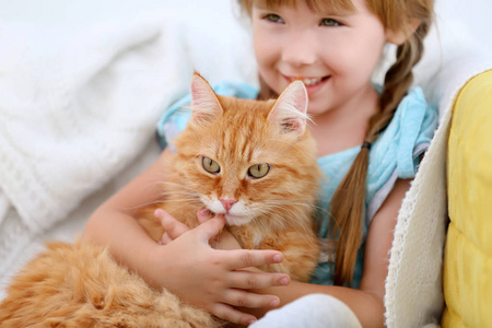 猫咪女孩的游戏的简单介绍